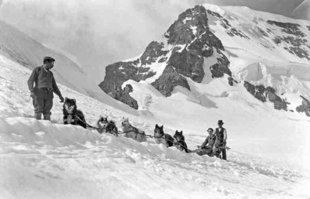 Wintersport am Jungfraujoch: Schlittenhunde