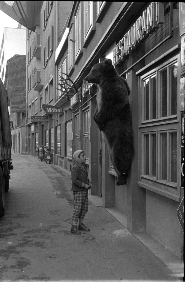 Bär vor dem Hotel Untergrund