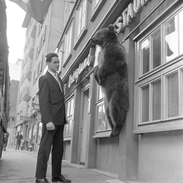 Bär vor dem Hotel Untergrund, mit Mann