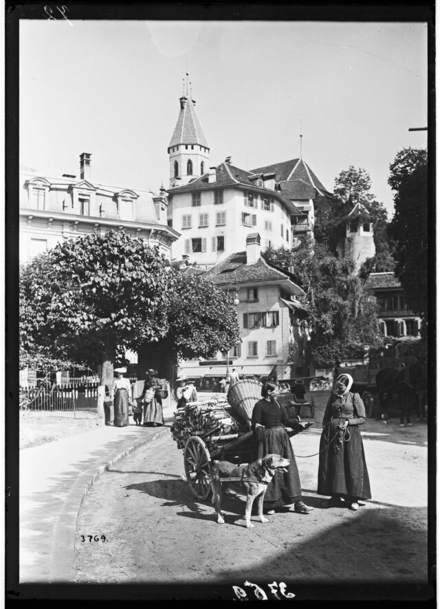 Thun -- Frau; Frauenarbeit; Alltagsleben; Handwagen; Transport, Verkehr; Hund; Haustier; Tierdarstellung; Brennholz; Energieversorgung