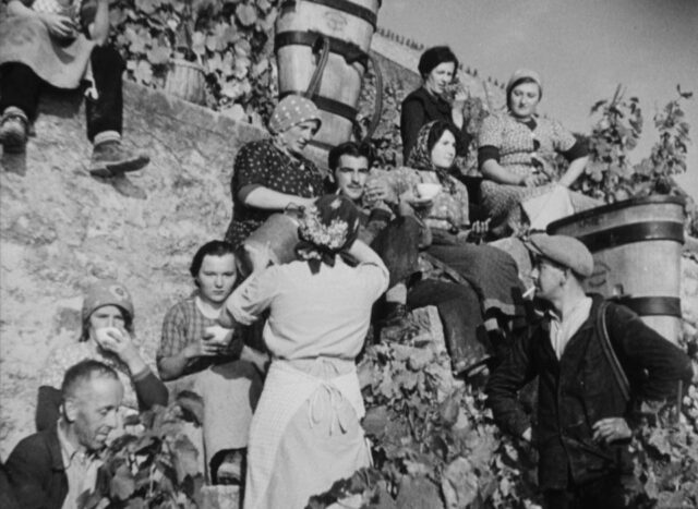 L'Année vigneronne. Images de la Suisse romande